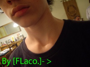 [FLaco]-> Premium|Noblock| Screenshot