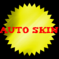 Auto Skin Screenshot